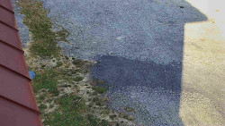 Nástup na běžecké tratě