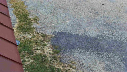 Nástup na běžecké tratě