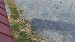 Nástup na běžecké tratě