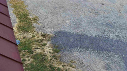 Nástup na běžecké tratě