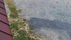 Nástup na běžecké tratě