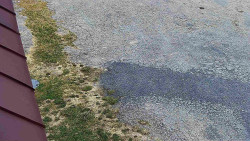 Nástup na běžecké tratě