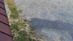 Nástup na běžecké tratě