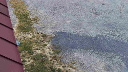 Nástup na běžecké tratě