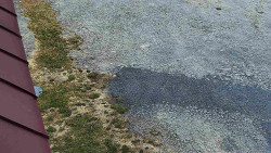 Nástup na běžecké tratě