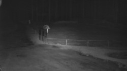 Nástup na běžecké tratě