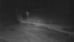 Nástup na běžecké tratě