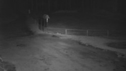 Nástup na běžecké tratě