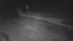 Nástup na běžecké tratě