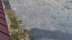 Nástup na běžecké tratě