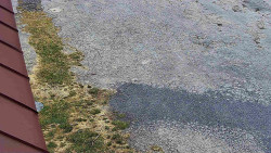 Nástup na běžecké tratě