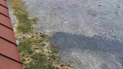 Nástup na běžecké tratě