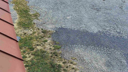 Nástup na běžecké tratě