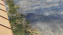 Nástup na běžecké tratě