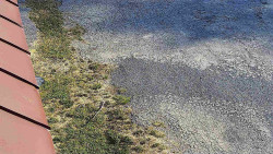 Nástup na běžecké tratě