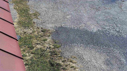 Nástup na běžecké tratě