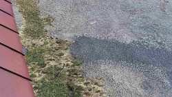 Nástup na běžecké tratě