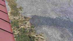 Nástup na běžecké tratě