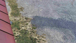 Nástup na běžecké tratě