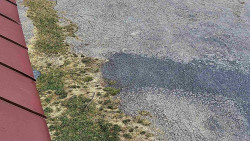 Nástup na běžecké tratě