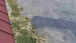 Nástup na běžecké tratě