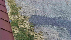 Nástup na běžecké tratě