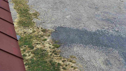 Nástup na běžecké tratě