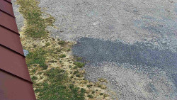 Nástup na běžecké tratě