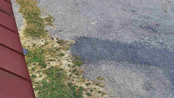 Nástup na běžecké tratě