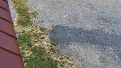 Nástup na běžecké tratě