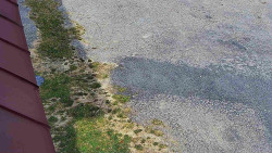 Nástup na běžecké tratě