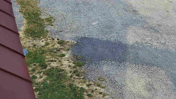 Nástup na běžecké tratě