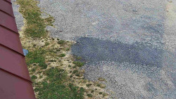 Nástup na běžecké tratě