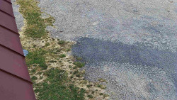 Nástup na běžecké tratě