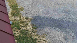 Nástup na běžecké tratě