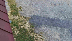 Nástup na běžecké tratě