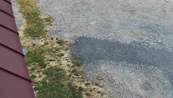 Nástup na běžecké tratě