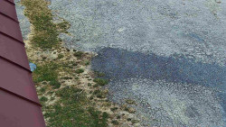 Nástup na běžecké tratě