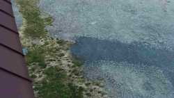 Nástup na běžecké tratě