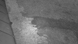 Nástup na běžecké tratě