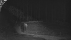 Nástup na běžecké tratě