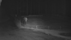 Nástup na běžecké tratě