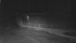 Nástup na běžecké tratě