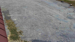 Nástup na běžecké tratě