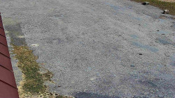 Nástup na běžecké tratě