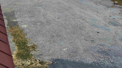 Nástup na běžecké tratě