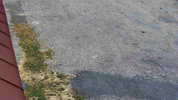 Nástup na běžecké tratě