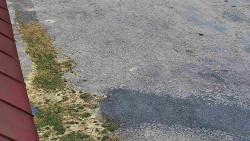 Nástup na běžecké tratě