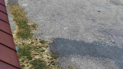 Nástup na běžecké tratě