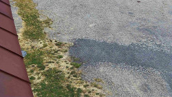 Nástup na běžecké tratě